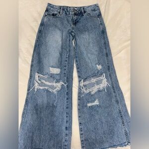 Pacsun Lowrise Baggy Jeans